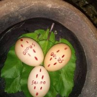 Thumbnail for the listing's main image